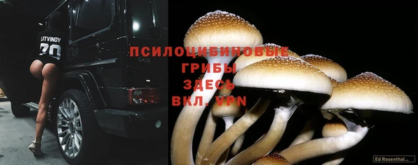 экстази Алексин